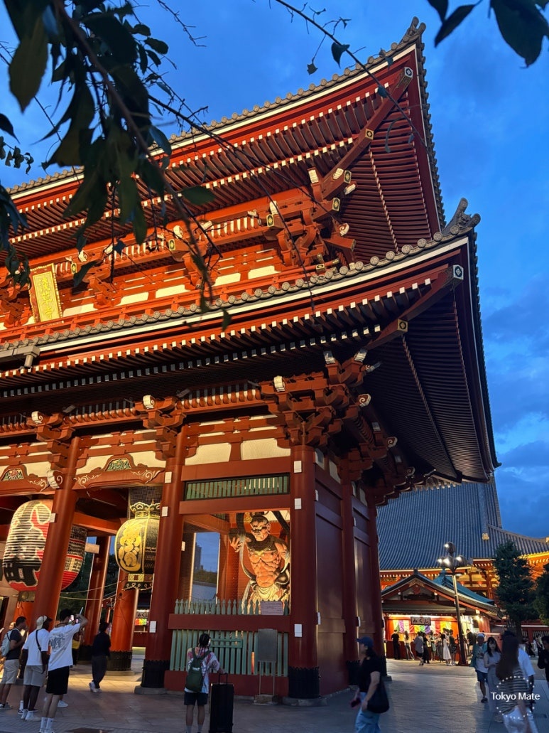 Asakusa Sensoji autumn foliage with ginkgo and maple trees