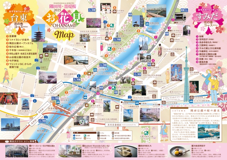 Map of cherry blossom walking course connecting Asakusa Station and Skytree
