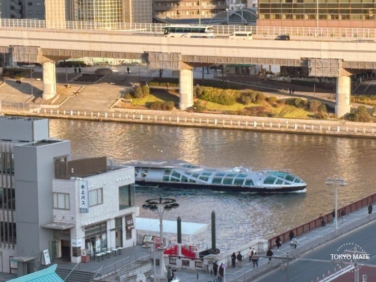 Tokyo Cruise water bus passing through cherry blossom tunnel on Sumida River