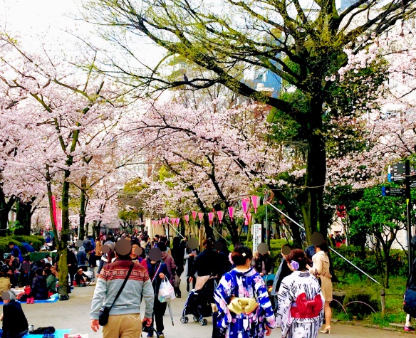 Sumida Park Soyokaze Hiroba picnic blanket hanami spot