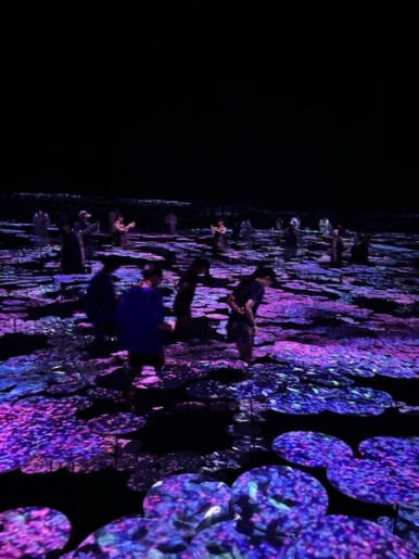 teamLab Borderless immersive digital art installation