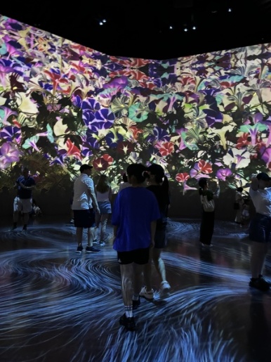 teamLab Borderless interactive flower art