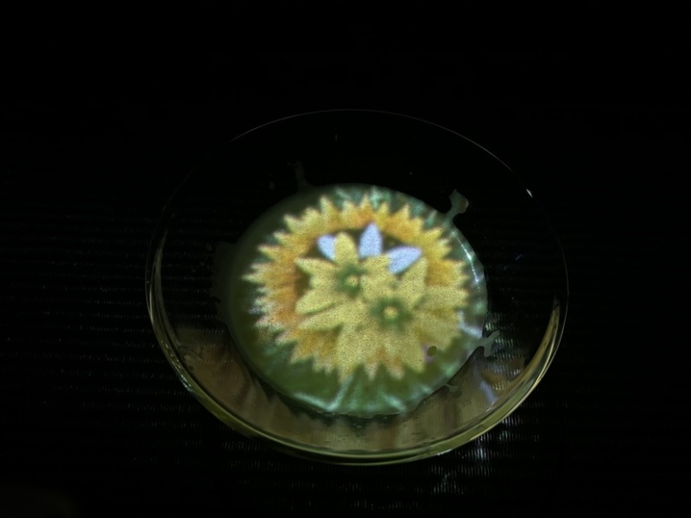 EN Tea House inside teamLab Borderless with blooming flowers in teacup