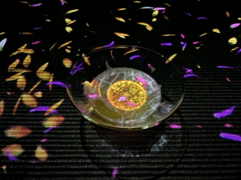EN Tea House digital flowers blooming in teacup at teamLab Borderless