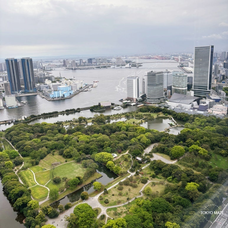 Caretta Shiodome Free Observation Deck: 46F Tokyo Bay Night View Guide (2026)