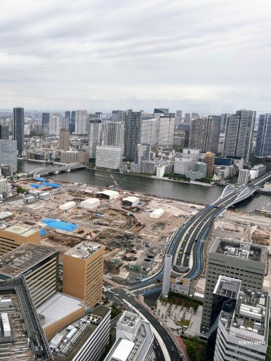 Rainbow Bridge seen from Caretta Shiodome SKY VIEW