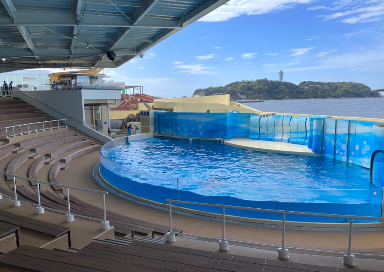 View of Enoshima Island from the aquarium