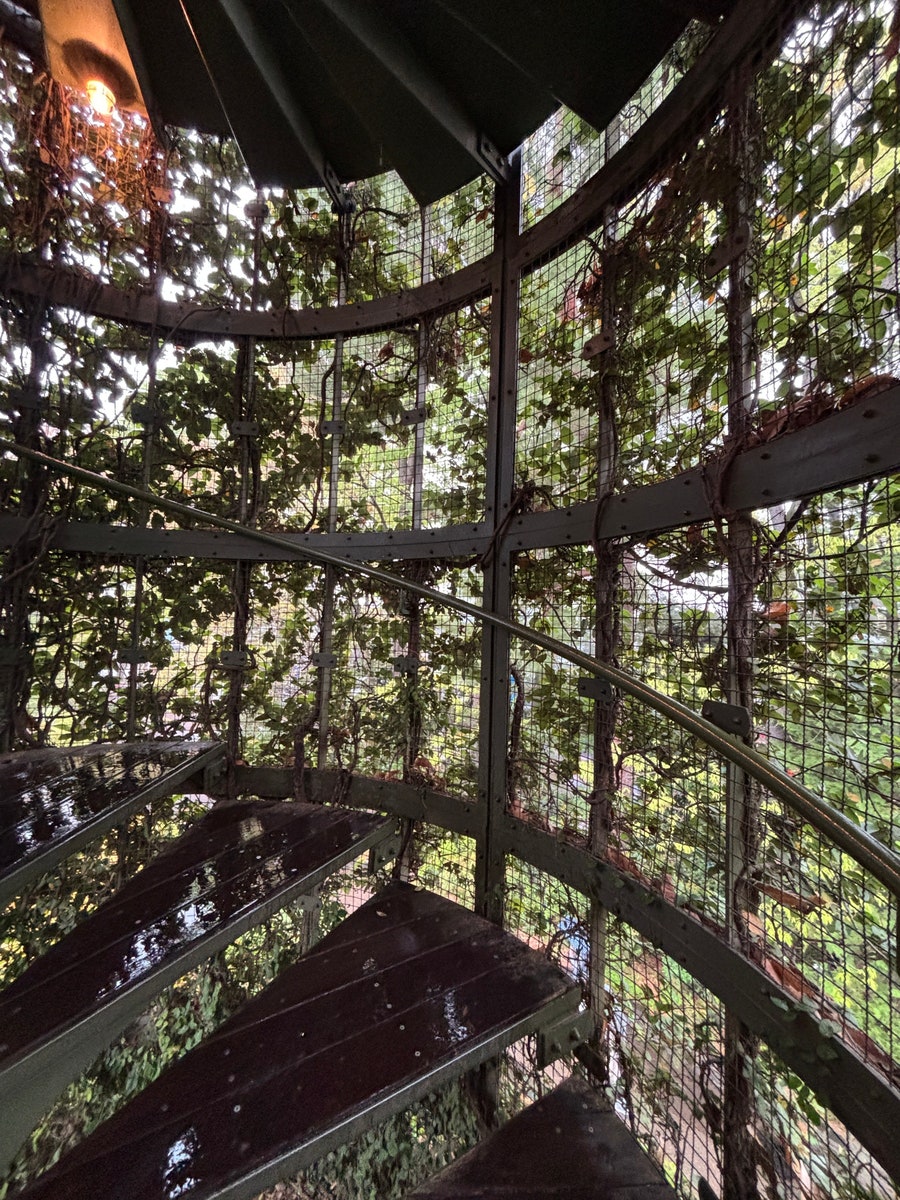 Robot Soldier Front View