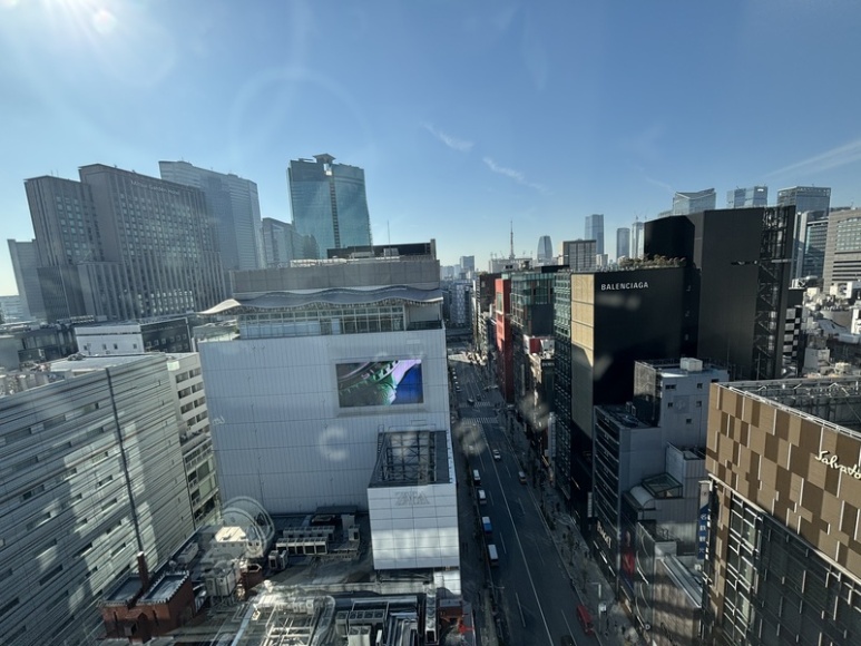 Ginza street view from the Ginza Six rooftop garden