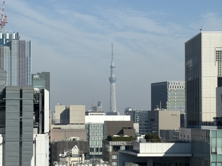 Tokyo Skytree in the distance and benches at the Ginza Six rooftop garden
