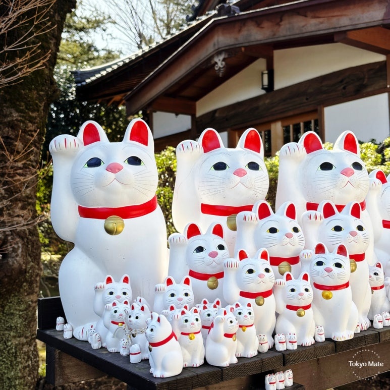 Gotokuji Temple maneki-neko offering area with hundreds of beckoning cat figurines lined up