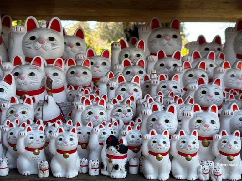 Close-up of maneki-neko collection at Shofukuden