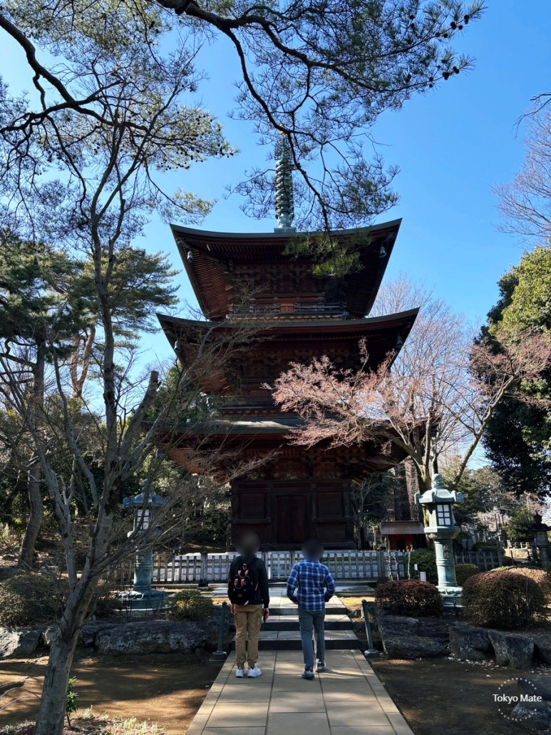 Full view of Gotokuji three-story pagoda standing 22.5 meters tall