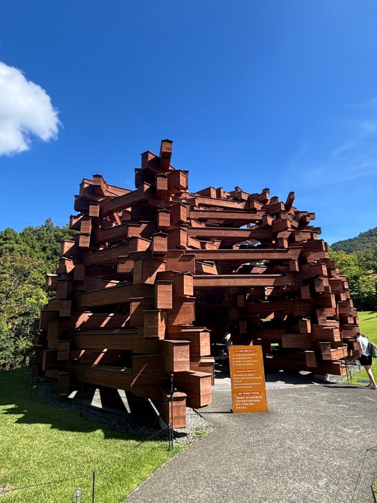 Woods of Net at Hakone Open-Air Museum