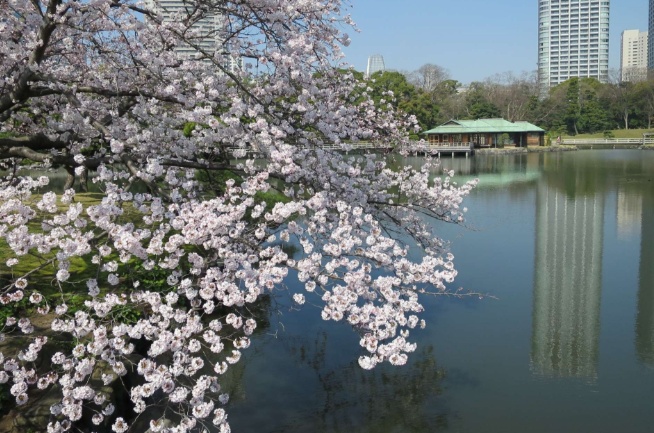 Hamarikyu Onshi Garden tide pond view
