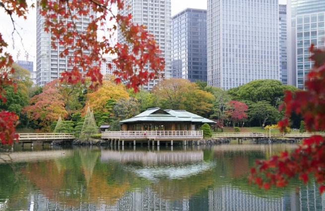 Hamarikyu Onshi Garden Otsutaibashi cedar bridge