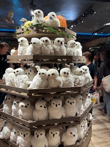 Harry Potter store interior