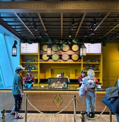 Harry Potter collectibles