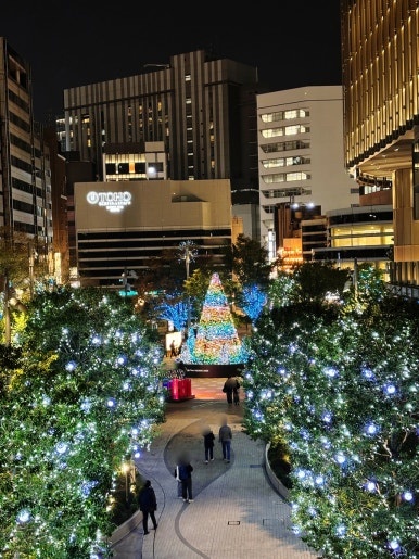 Hibiya Midtown Step Square katsura tree illumination