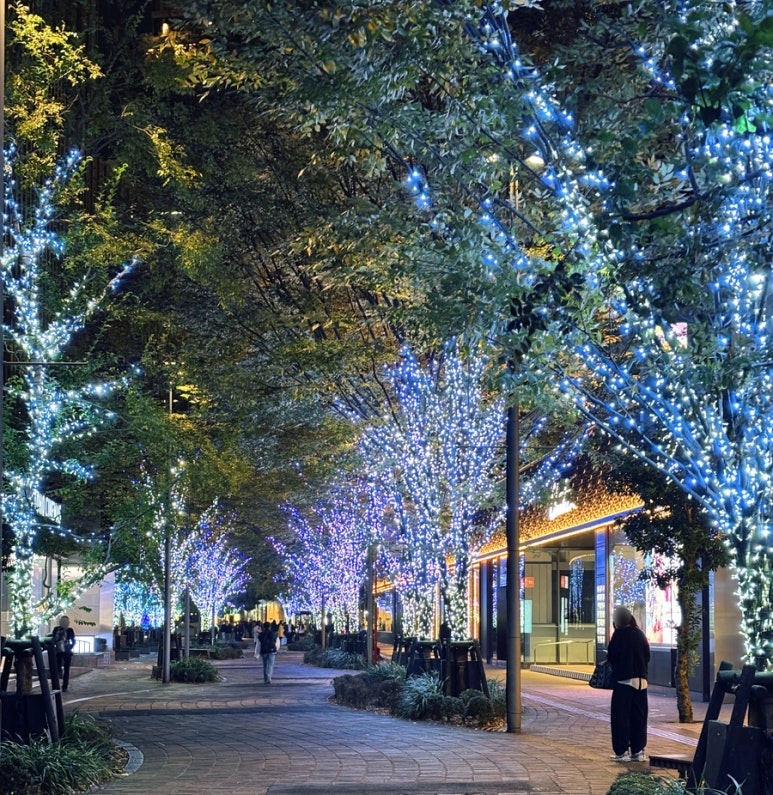 Hibiya Nakadori illumination January to February