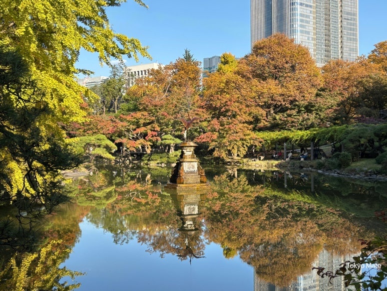 Hibiya Park Kumogata Pond with autumn foliage reflection