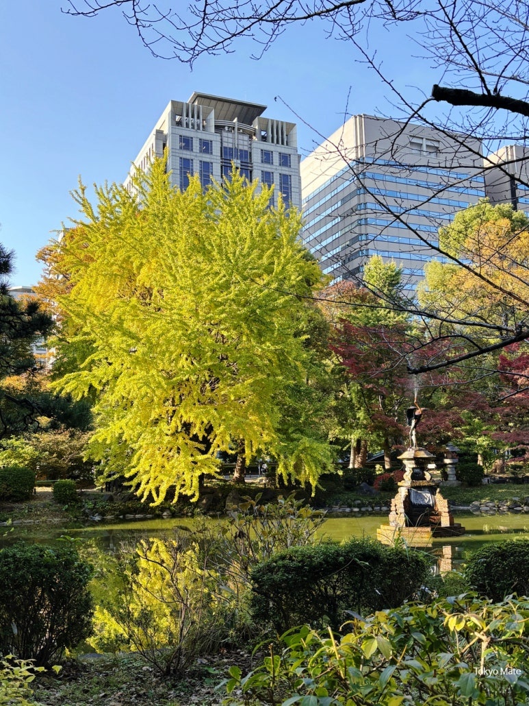 Hibiya Park Tokyo autumn scenery in the heart of the city
