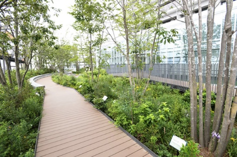 Toshima Ward Office 10th floor free observatory and rest area, Toshima no Mori