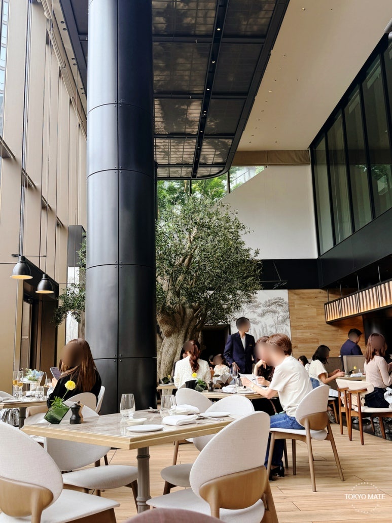 Janu Mercato interior with floor-to-ceiling windows and open kitchen