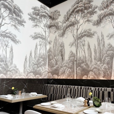 Janu Mercato indoor seating with natural light