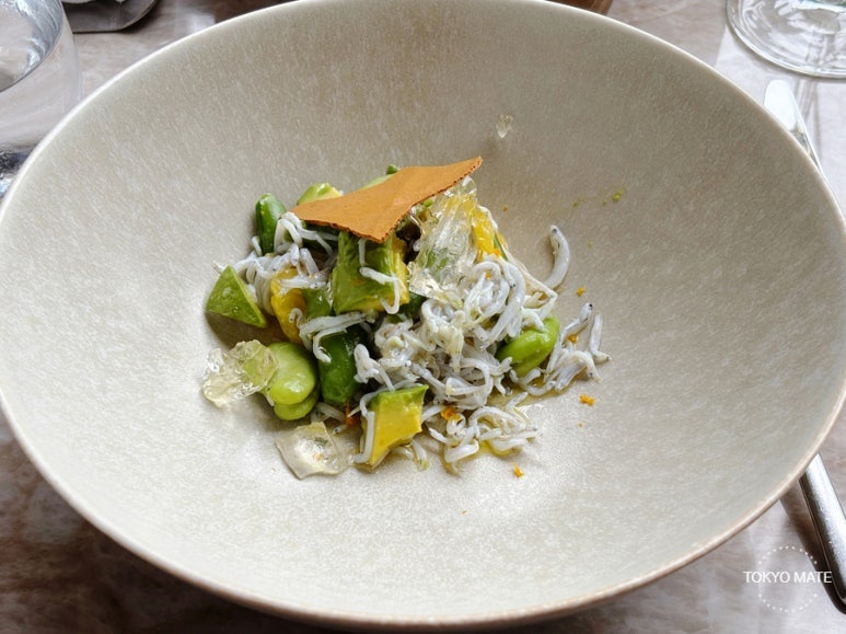 Janu Mercato shirasu ricotta salad starter
