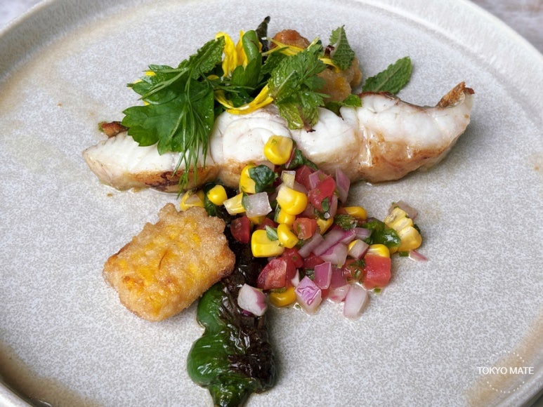 Janu Mercato today's fish sauté main