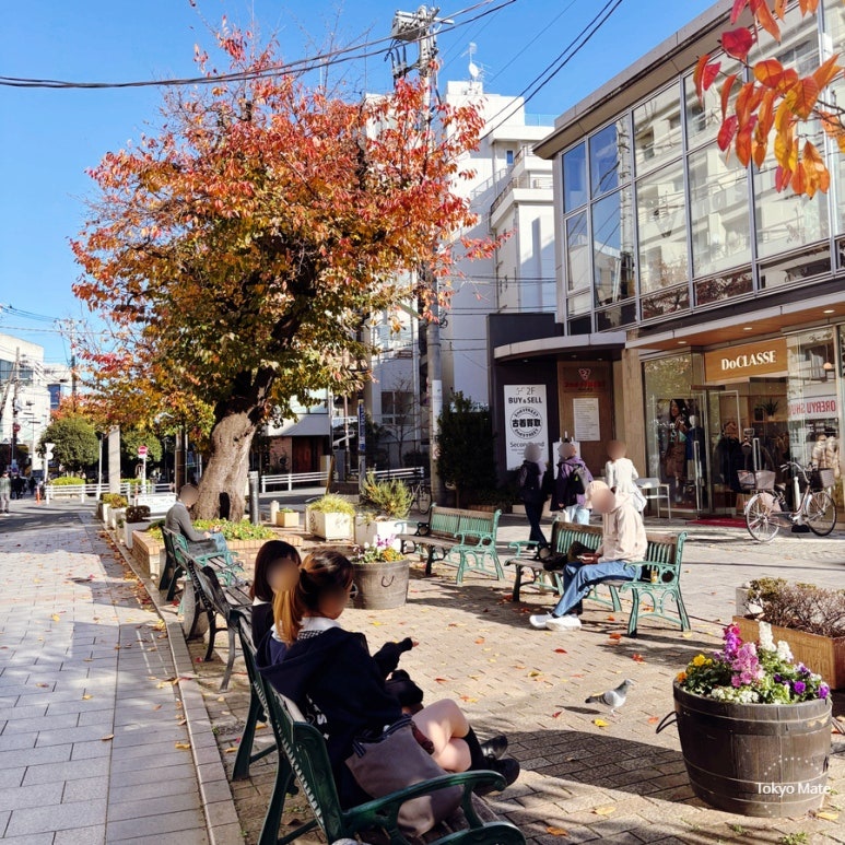 Jiyugaoka Tokyo neighborhood people relaxing on Greenway walking path