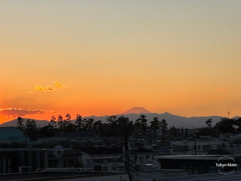 Jiyugaoka de aone rooftop view healing space in the city