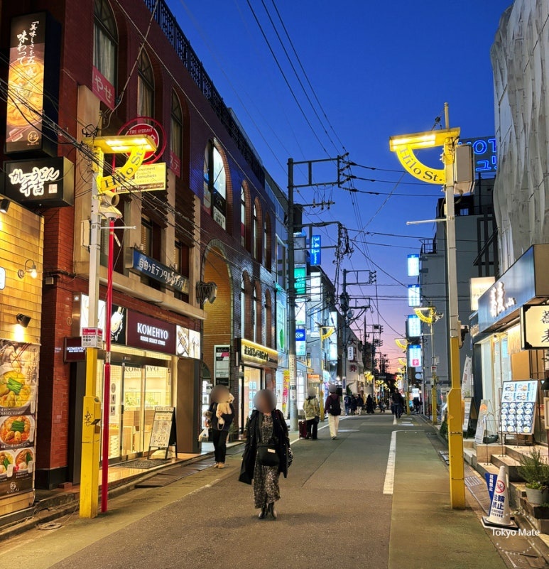 Hilo Street alley heading to Jiyugaoka Station scenic view