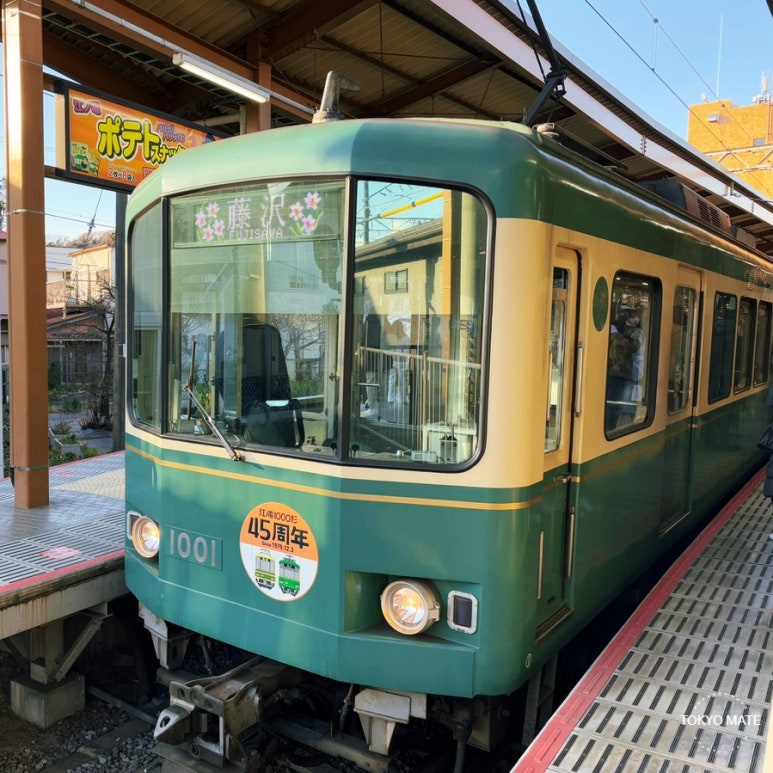 Kamakura Day Trip from Tokyo | Complete Guide to Enoden Pass, Slam Dunk Location & Itinerary