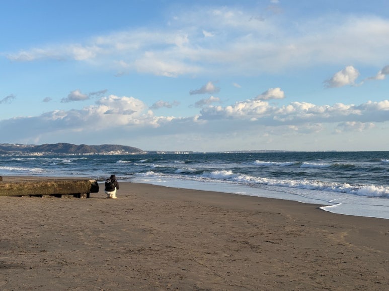 Kamakura Fireworks Festival general viewing on the sandy beach