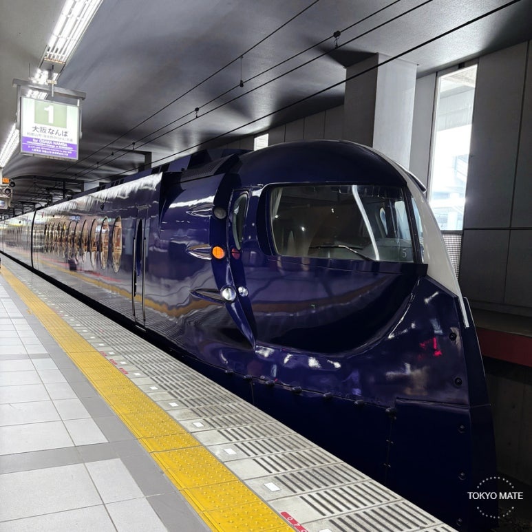 Nankai Rapi:t limited express train running direct from Kansai Airport to Namba