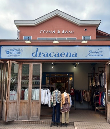 Kichijoji vintage shop Dracaena