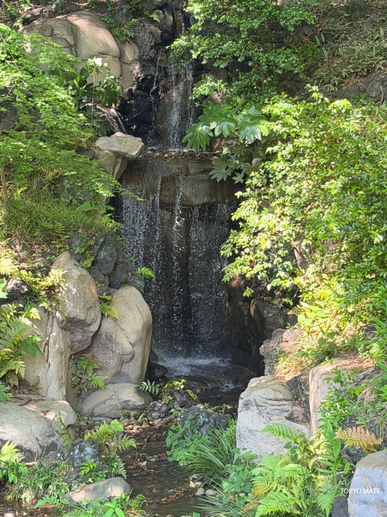 Otaki 10m waterfall at Kyu-Furukawa Gardens Japanese garden