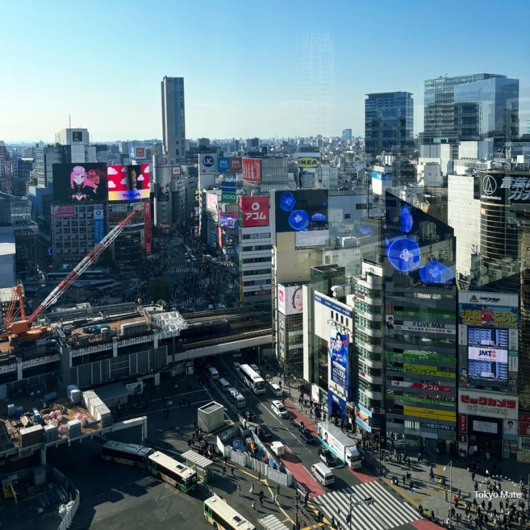 Shibuya Hikarie 11F Sky Lobby free observation deck view