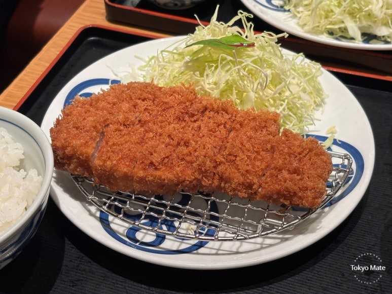 Close-up of Maisen's crispy kendachi breadcrumb coating