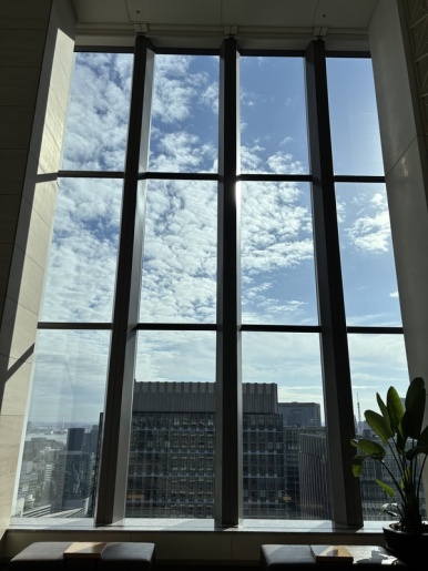 35th floor observatory daytime blue sky view