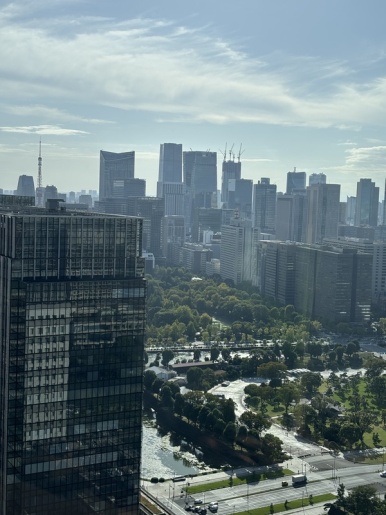 35th floor observatory evening twilight view