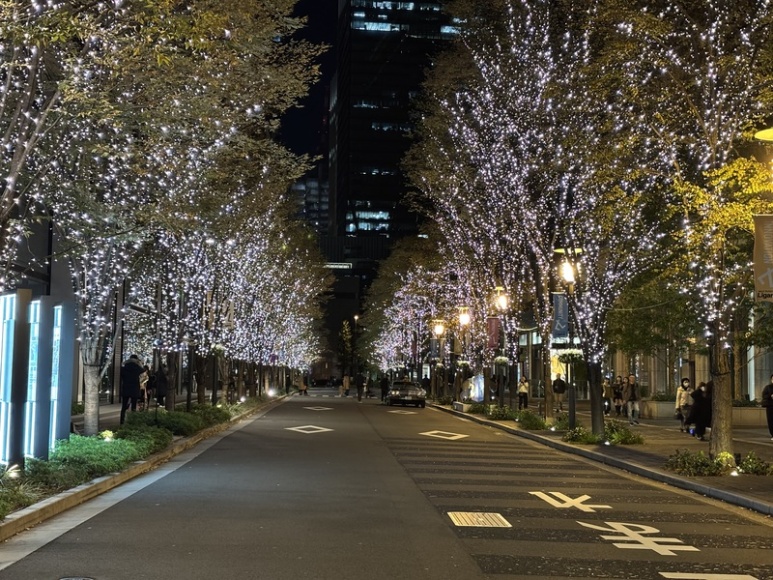 Marunouchi Naka-dori north