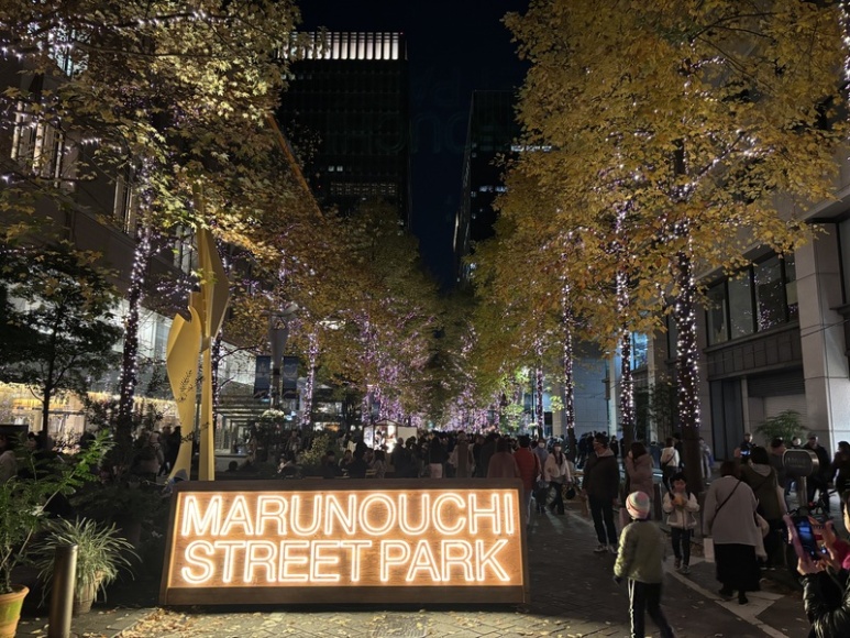 Marunouchi Naka-dori south illumination