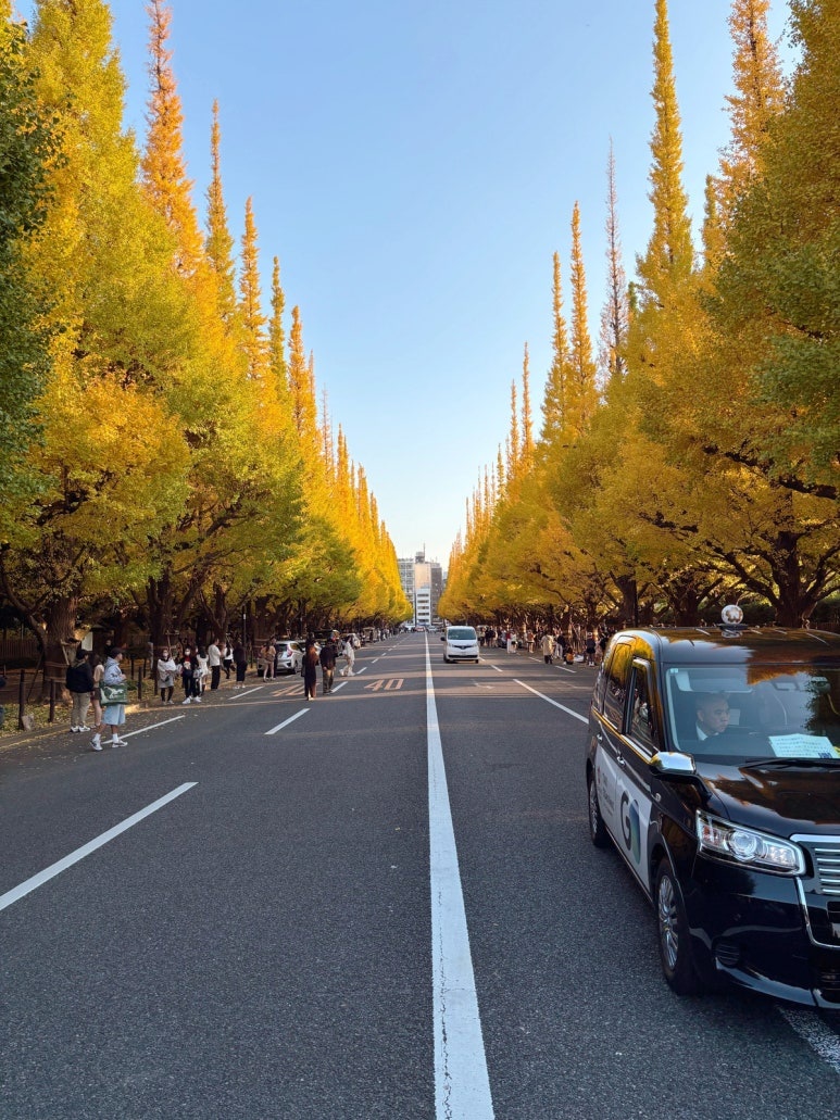 Meiji Jingu Gaien Tokyo ginkgo avenue photo zone: crosswalk center