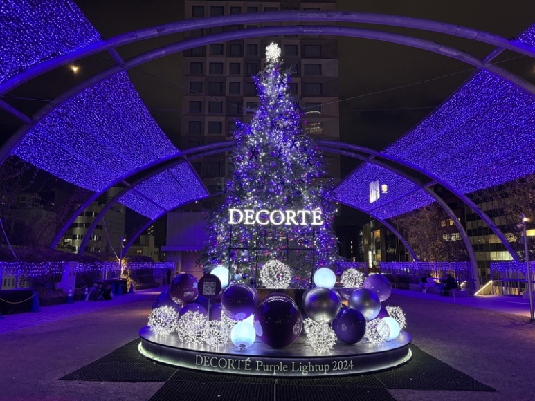 Decorté Sponsor Display 1