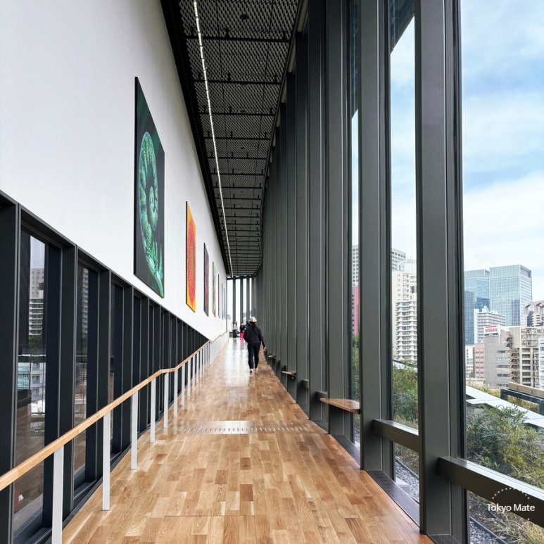 MoN Takanawa 5F Box1500 large exhibition hall corridor