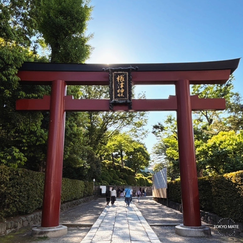Nezu Shrine free admission year-round opening hours