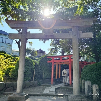 Nezu Shrine Senbon Torii red torii tunnel